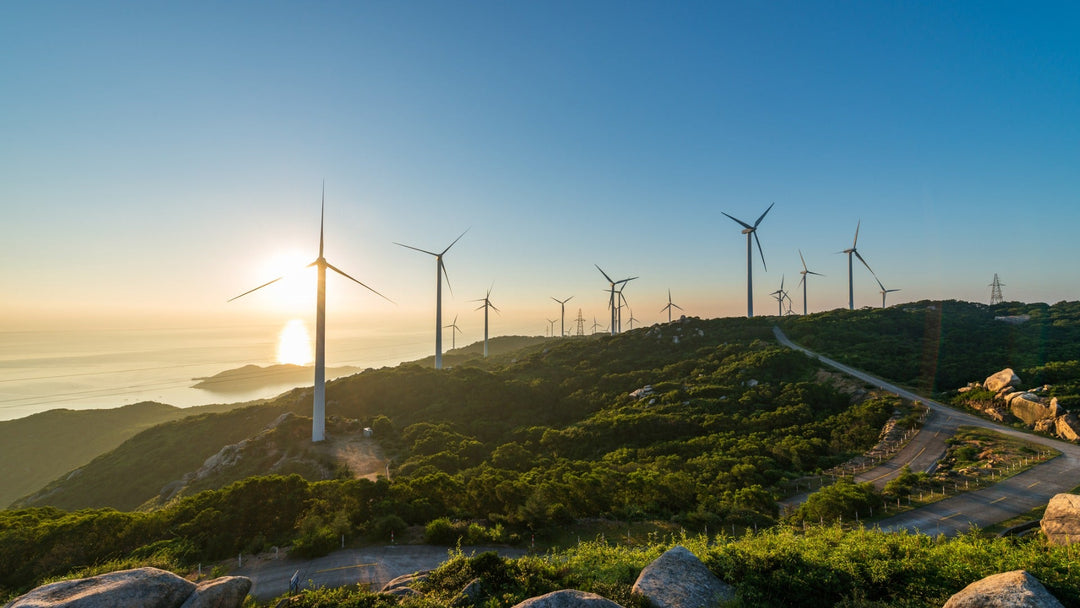 Investing in the Energy Transition